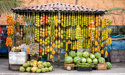 Amazonic traditional fruits on road shop